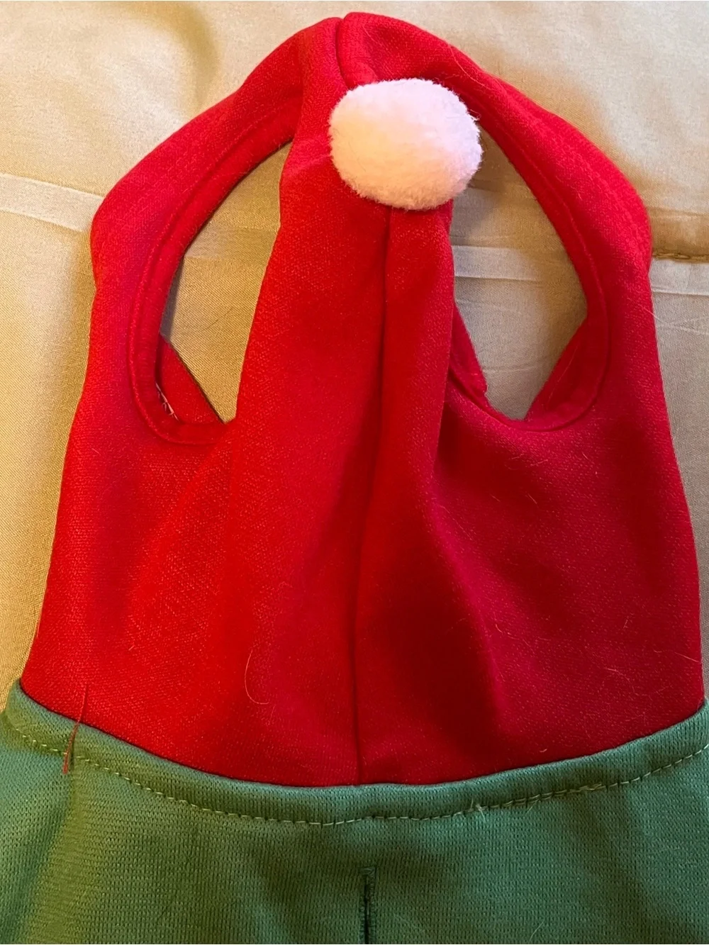 Petsmart festive pet